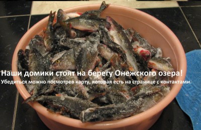 Рыбалка в Карелии зимой, на что и где рыбачить и снять домик - цены 2022-2023